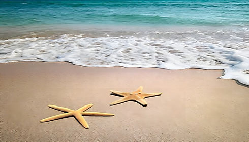 caribbean-newabhi_enhanced (2).jpg