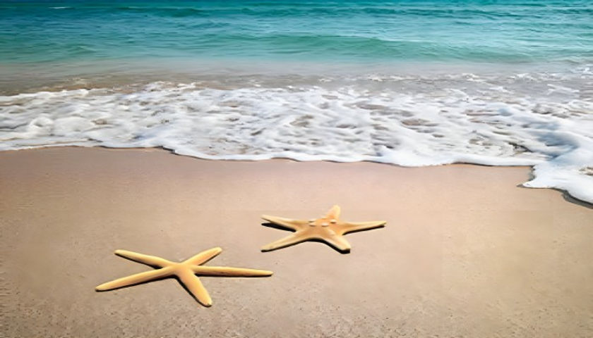 caribbean-newabhi_enhanced (2).jpg