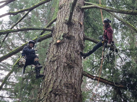 Teamwork in Action