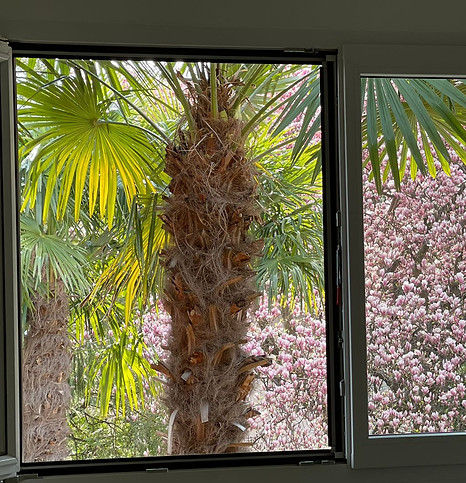 WhatsApp Image 2024-03-18 at 17.26.05.jpeg