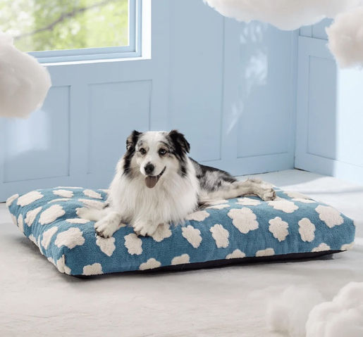 Dog on Lesure Dog Mattress
