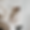 WHAT’S TRENDING.png