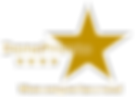 DonePronto LOGO Transparent lour 9.png