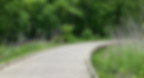 A_wooded_boardwalk_trail_in_Oak_Point_Park_in_Plano,_Texas,_USA.jpg