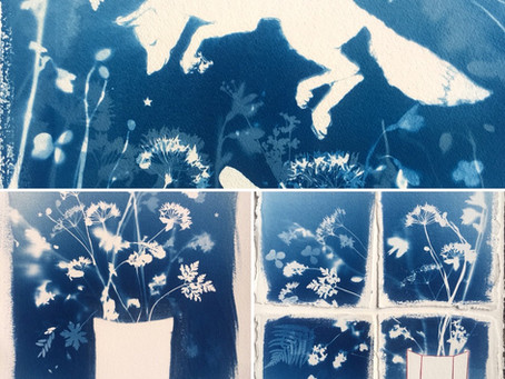 Cyanotype workshop with Kim Tillyer, Thursday 24 May