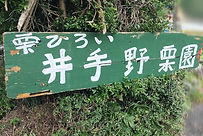 井出野栗園.jpeg