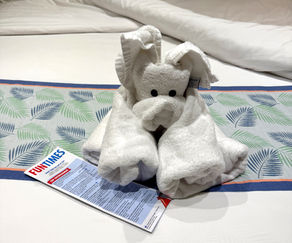 For those planning a Carnival cruise, having a sense of the onboard schedule can be helpful. Here is a collection of the daily FunTimes newsletters from a recent cruise (11/2025).