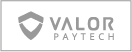 valor-logo-gray.png