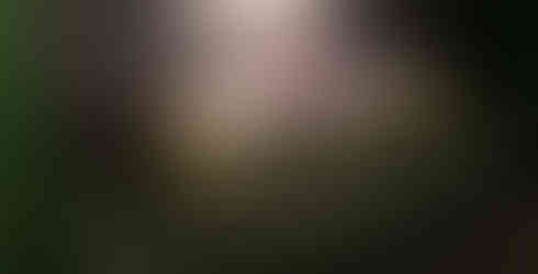 source naver blog wisdom_0303_