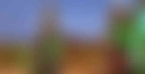 source naver blog spicaione