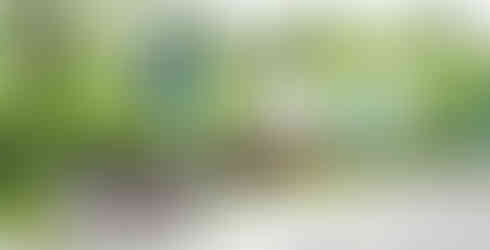 source naver blog gangseokkachi