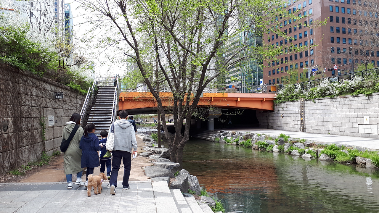 source naver blog palannun