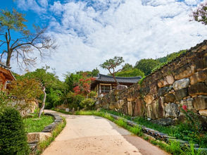 "BTS ROAD" in Wanju, Jeollabuk-do
