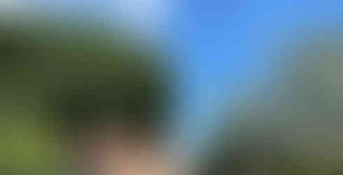 source naver blog gyeongbuk_official