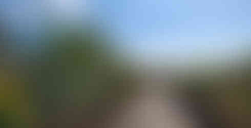 source naver blog milkgold1231