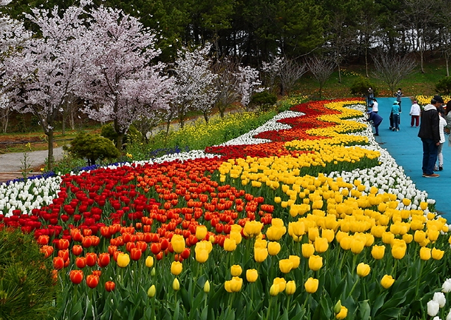 Korea Tourism Organization 