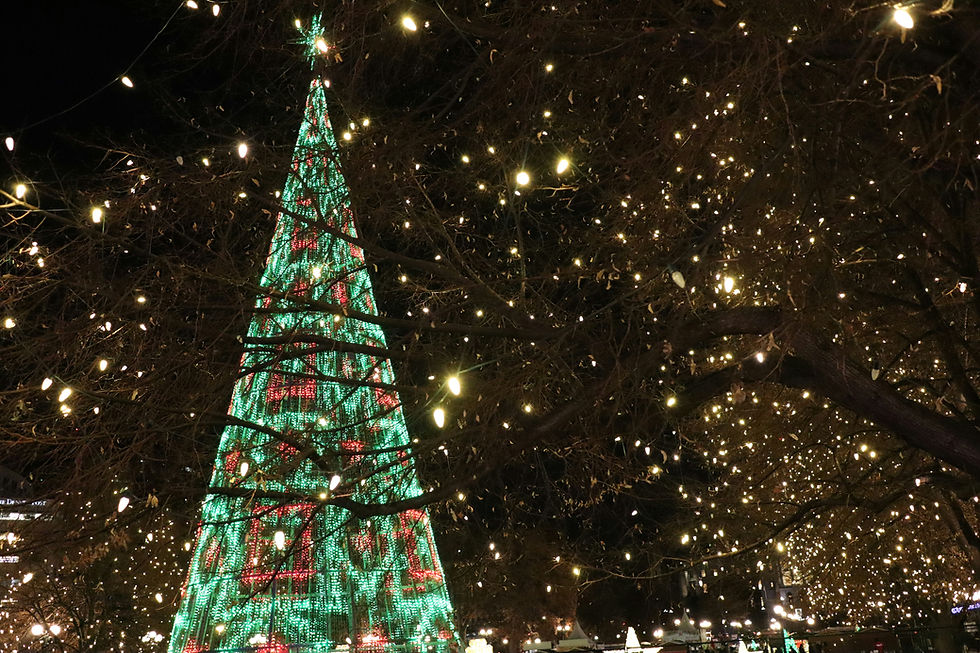 Romantic Christmas destinations to visit in Korea