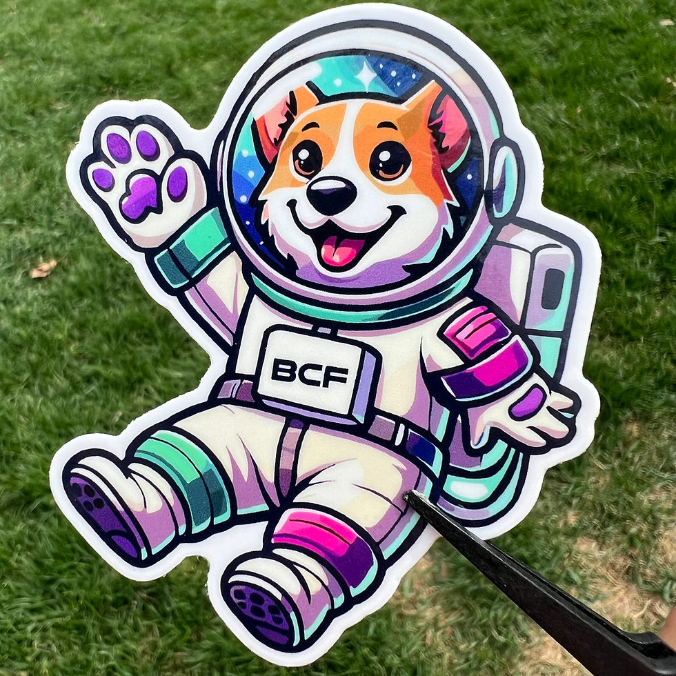 Thumbnail: 2025 BCF Stickers