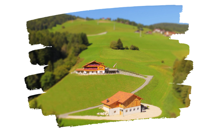 Wohnung Kronplatz