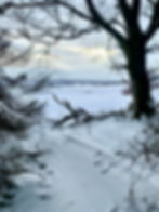 Coullie Woods, a short walk from Coullie Stays