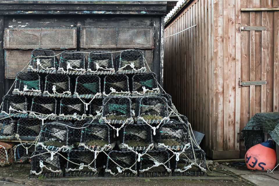 pile of animal cage near barn_edited.jpg