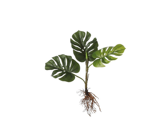 Mica Decorations Monstera Kunst Plant Met Wortels | Webshop