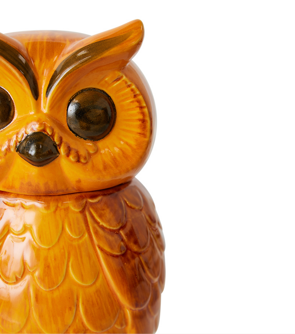 Thumbnail: Hkliving Ceramic owl jar tangerine ACE7288