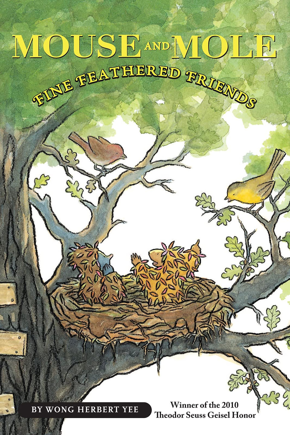 find feathered friends