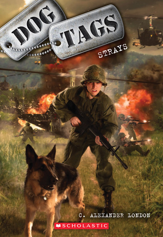 dog tags strays