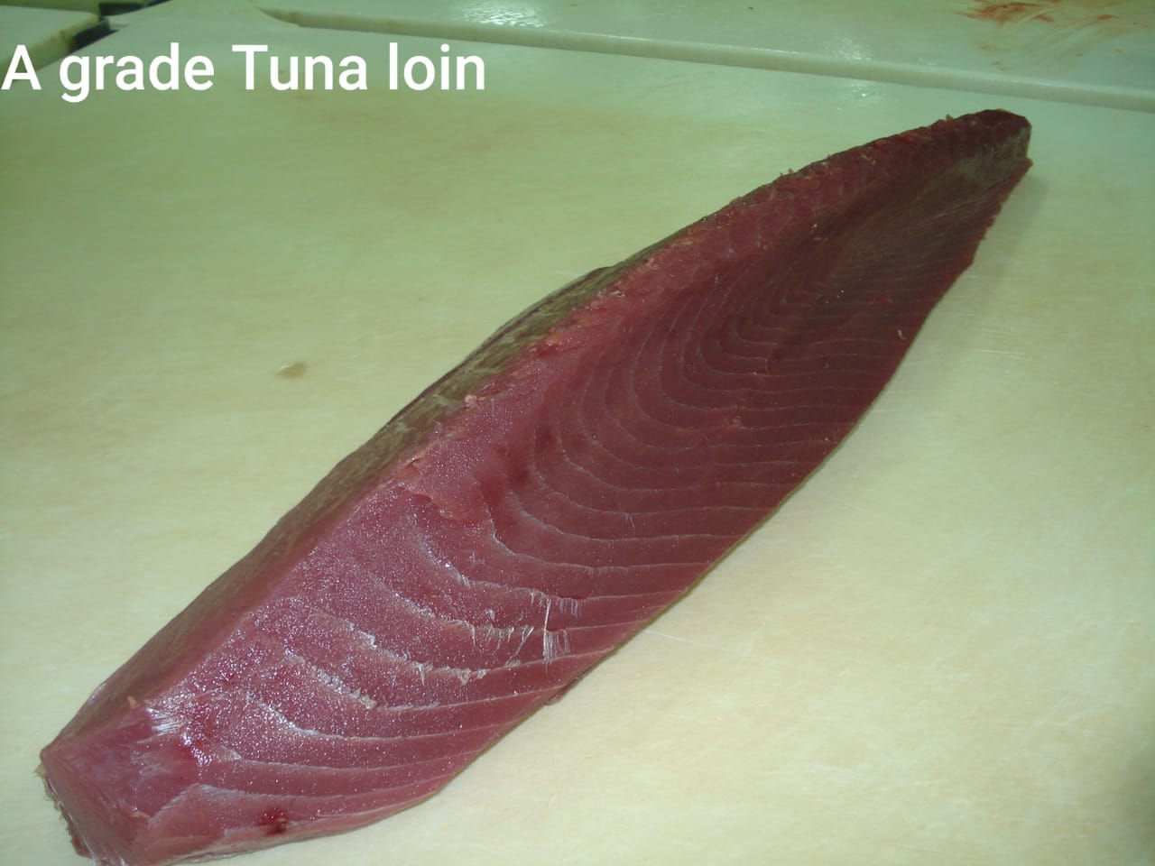 A+ Tuna loin
