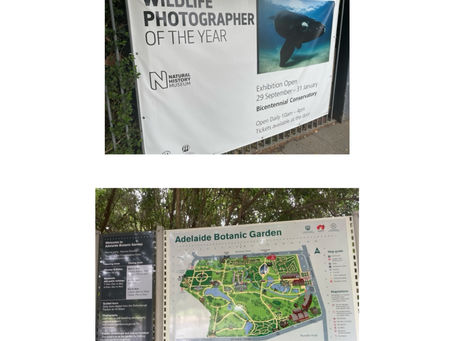 Love nature and photography?
