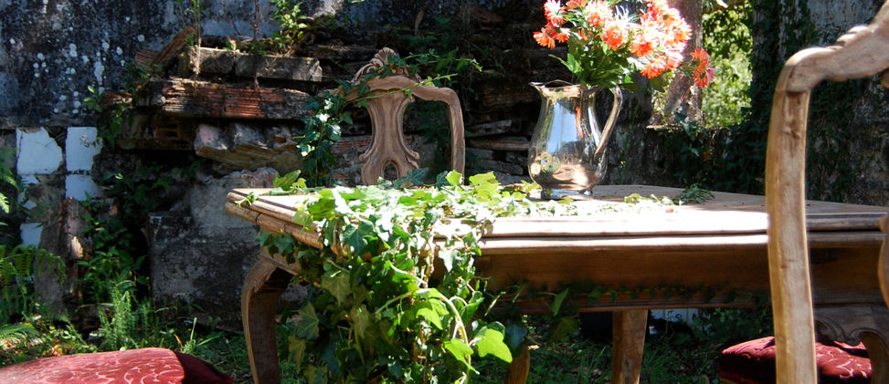 DSC_0086_464 (1).JPG