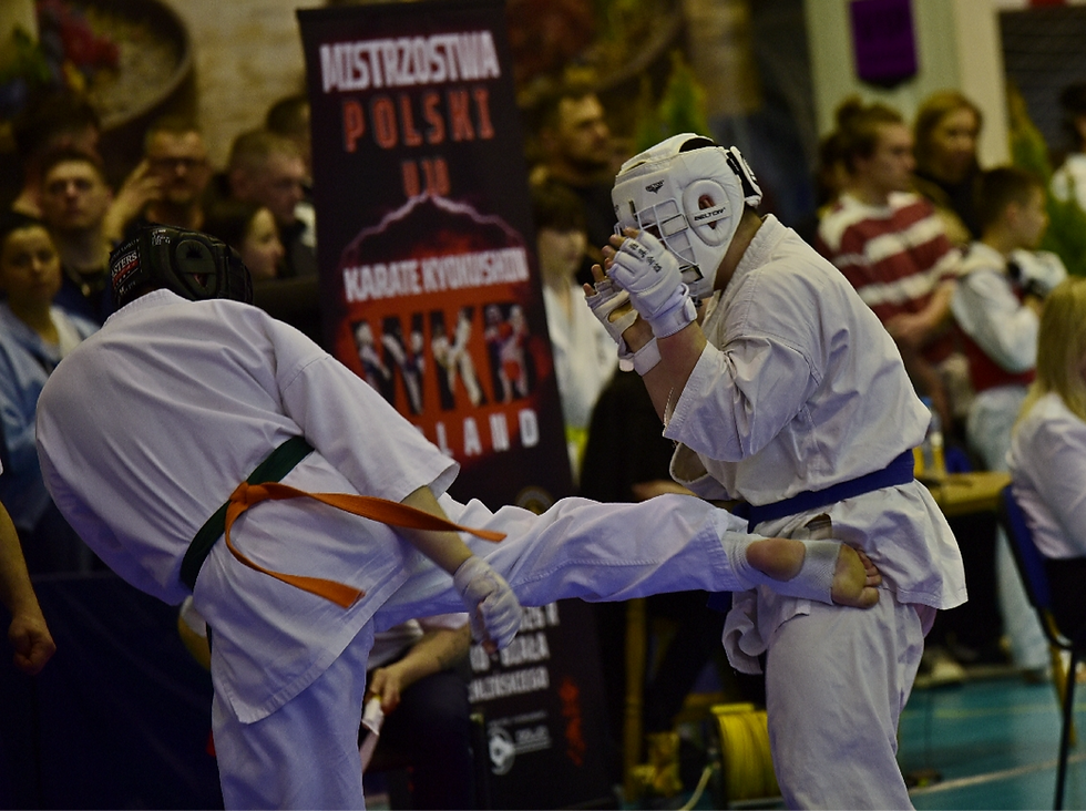 Norbert Gałan wykonuje w półfinale mawashi-geri gedan.