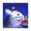 Thumbnail: Chinchilla