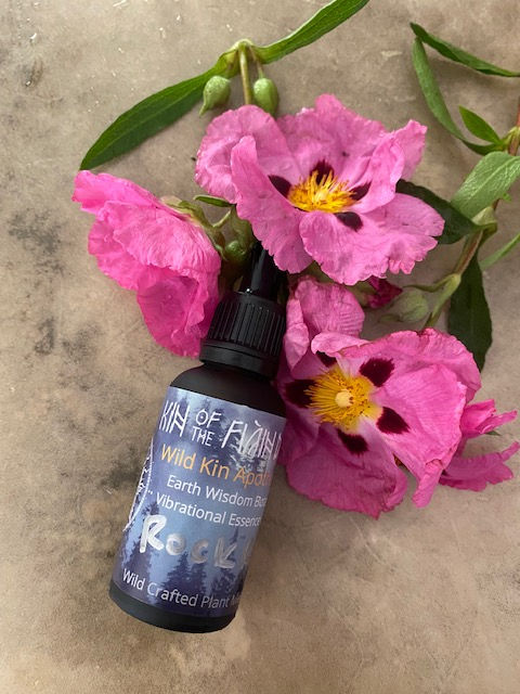 Rock Rose Botanical Vibrational Essence Drops