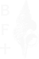 BFT_vertical_white.png