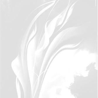 A leveza e o peso, a alma e o corpo, a força e a fraqueza: relações de diálogo na compreensão de A insustentável leveza do ser