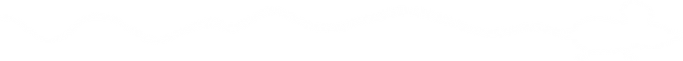 Asset 1.png