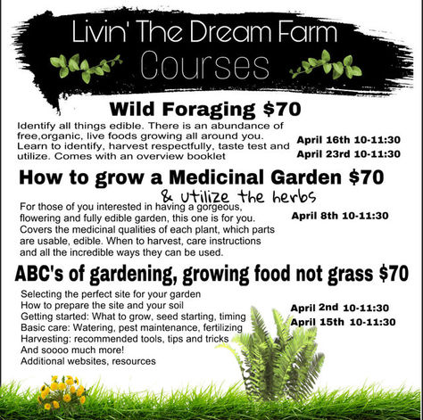 Livin' the Dream Farm