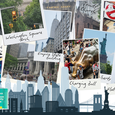 Collage of places in NYC Geese saw on her trip!