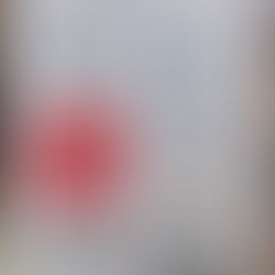 Celebrate our Freedom to Read!