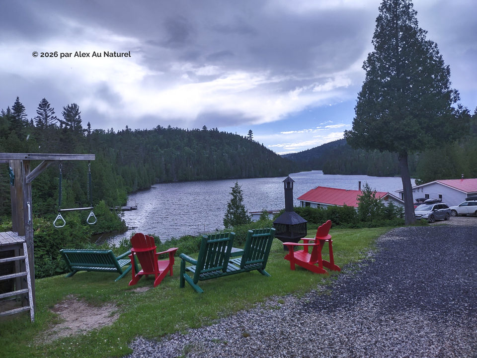 Vue sur un beau lac canadien avec chaises adirondack © 2026 par Alex Au Naturel