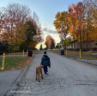 enfant et chien qui se promènent automne