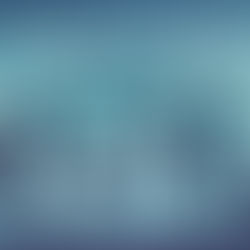 Why Good Bookkeeping and Accounting Practices Are Essential for Hong Kong Companies