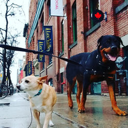 IMG_20170406_135943_581