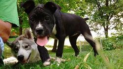 IMG_20170707_161400792