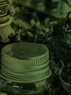 Cannabis Medicinal: Mitos e Verdades