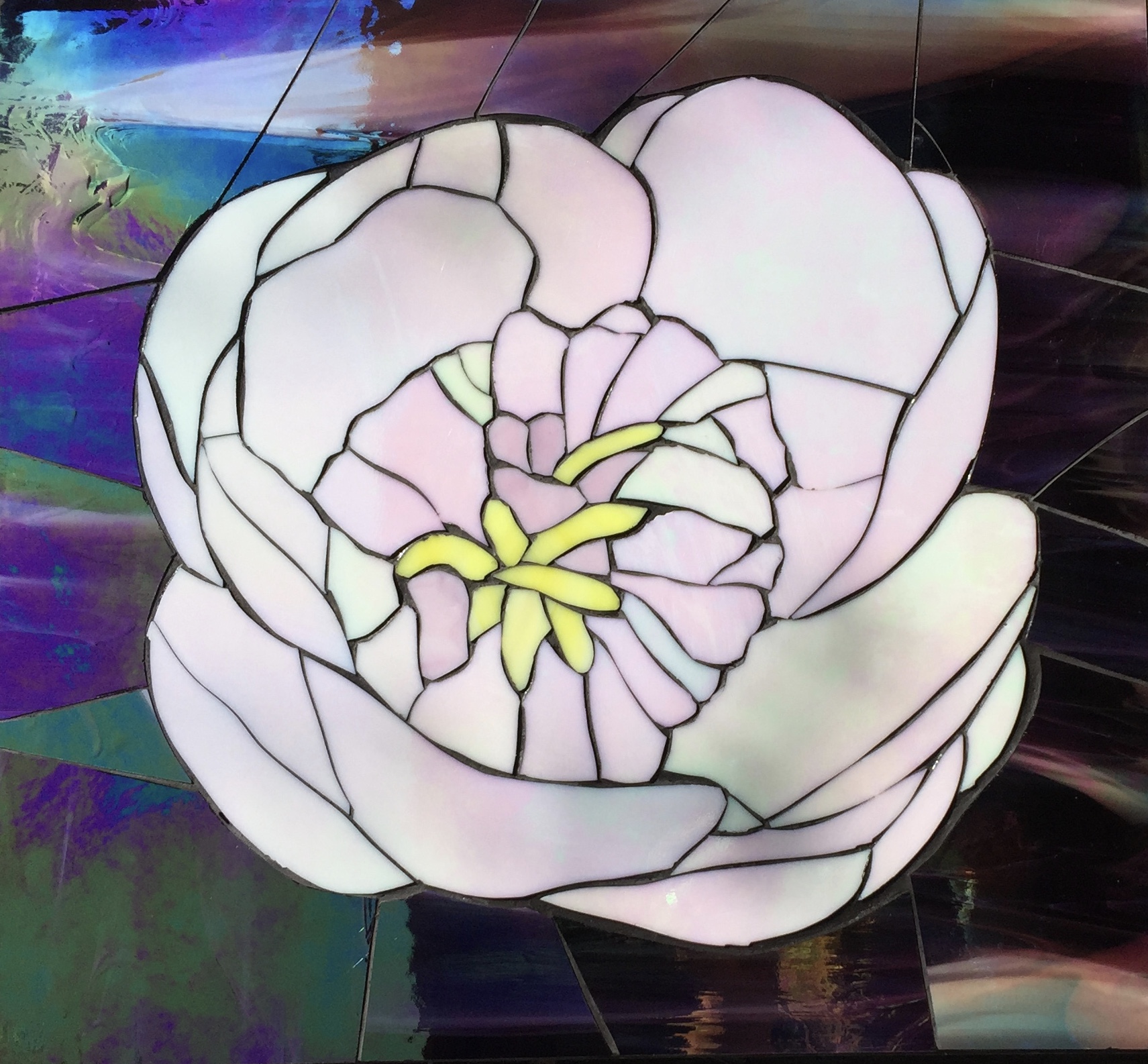 White Peony