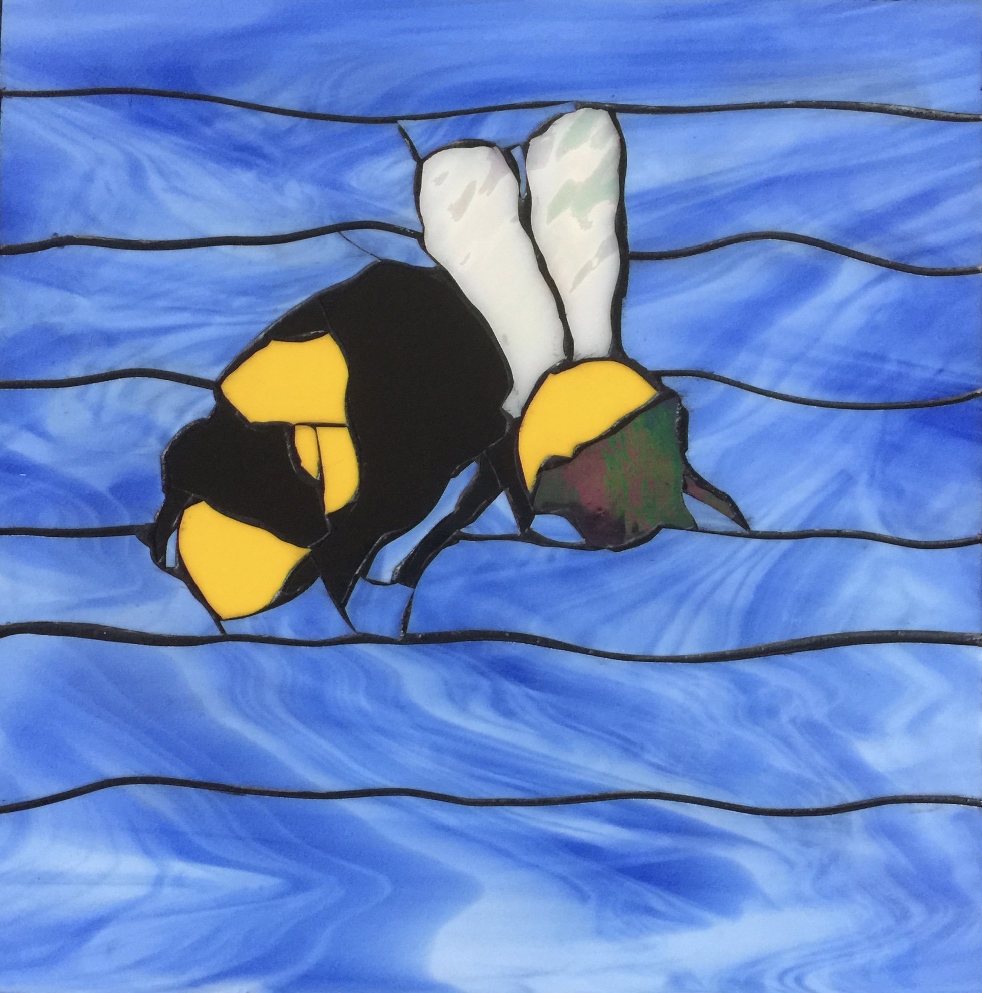 "Busy Bee"