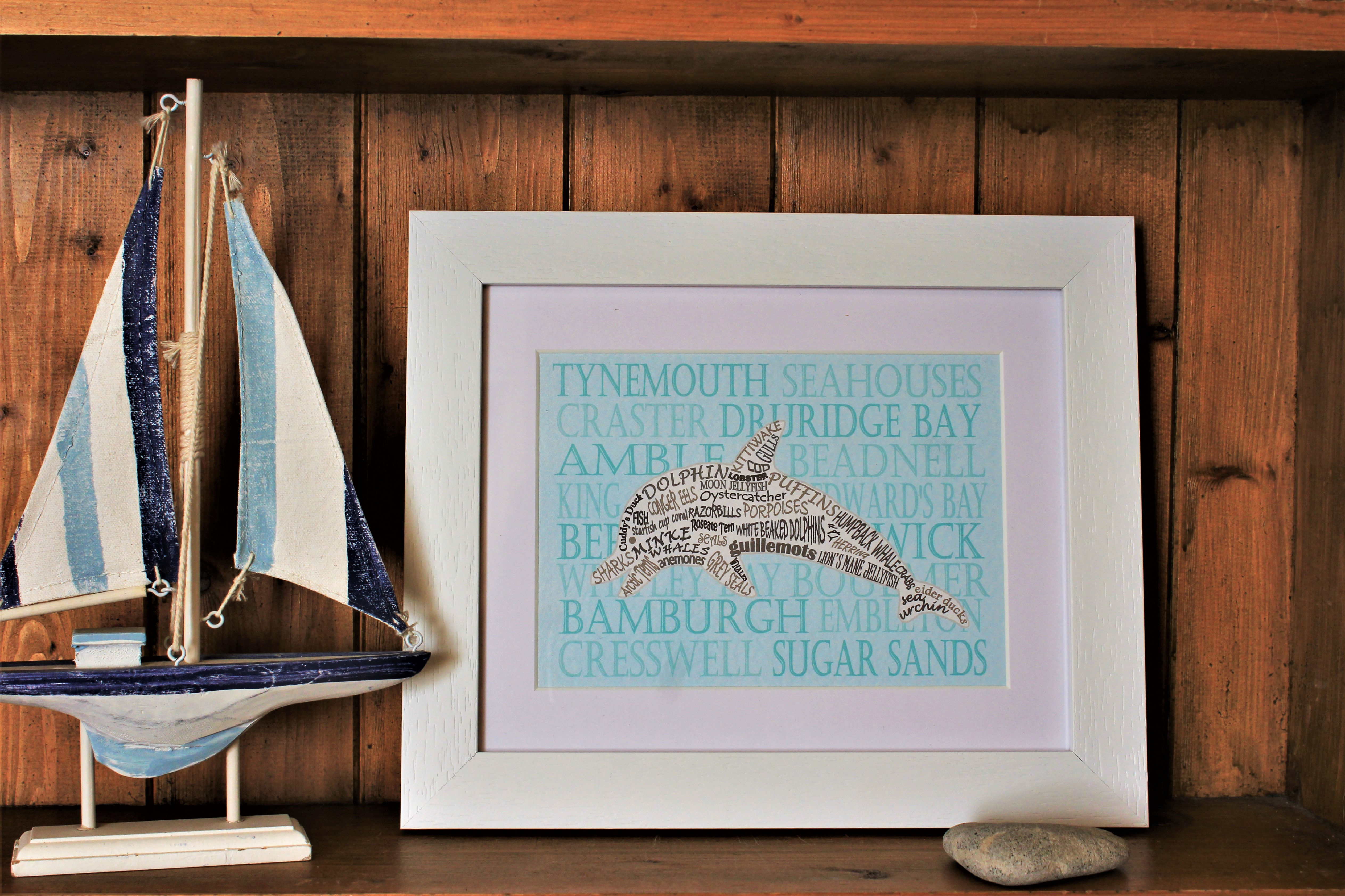 Local Beaches Dolphin